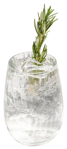 Rosemary Spritz at Bloom Room