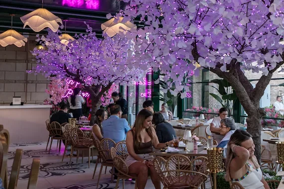 The Bloom Room dining room under its lit blossom trees